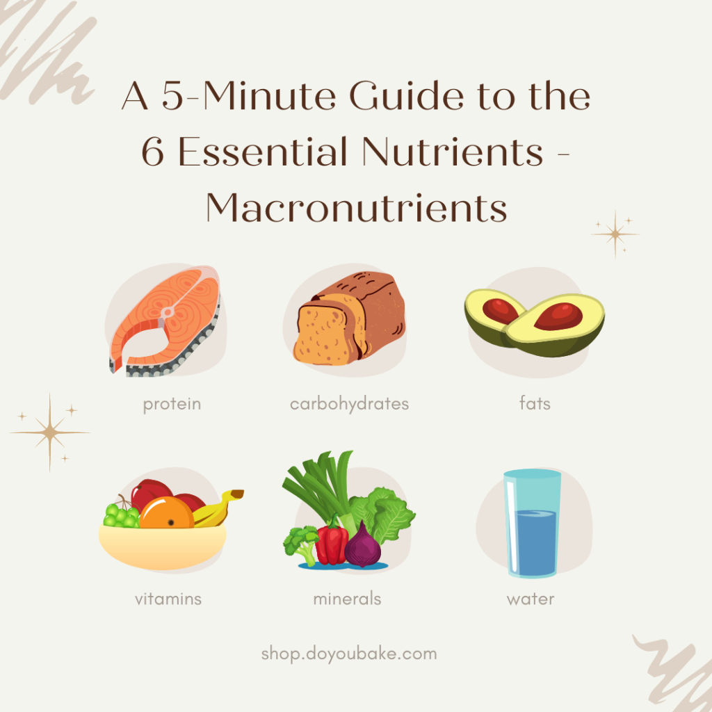 Picture of: A -Minute Guide to the  Essential Nutrients – Macronutrients