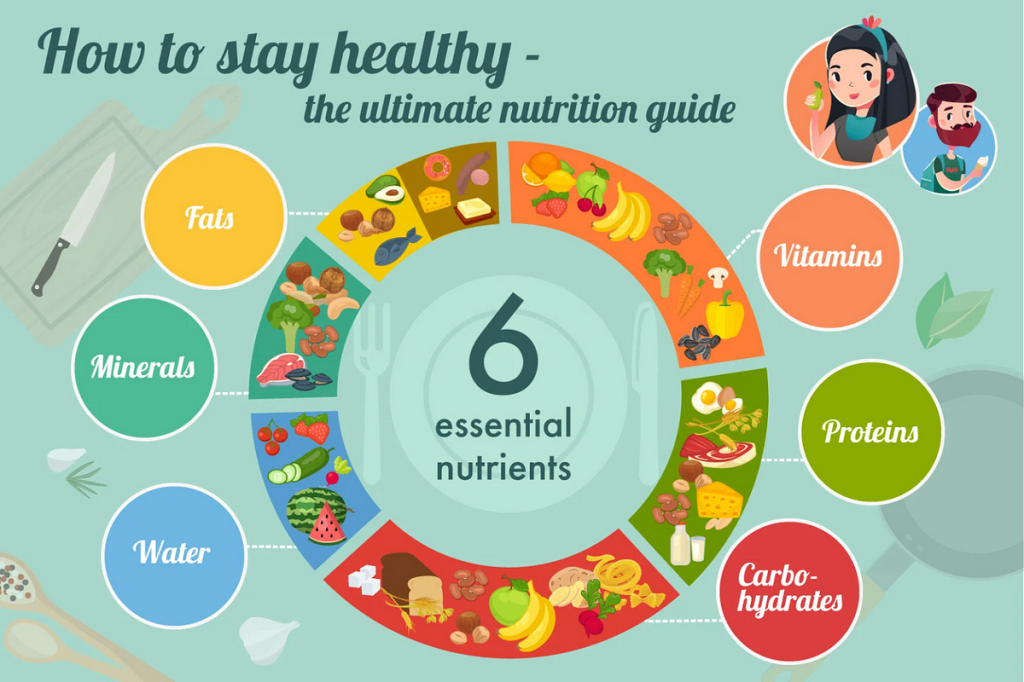 Picture of: Essential Nutrients Your Body Needs  by Dev Patel  Medium